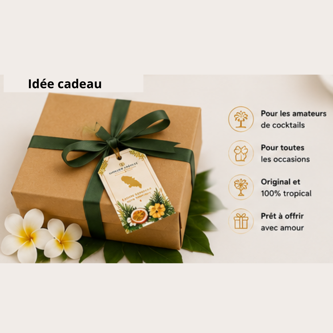 KIT COCKTAIL TROPICAL – DÉCOUVERTE 🌴🍹
